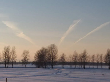 Winter landscape / ***