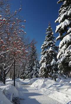 winter has come / ______