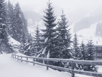 Snow in the mountains / ***