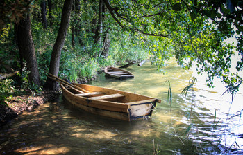 Quiet place / ***
