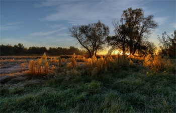 Autumn Sunrise / ***