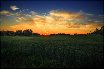At sunset / ***
