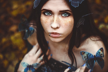 Butterflies / www.taylorphoto.ru