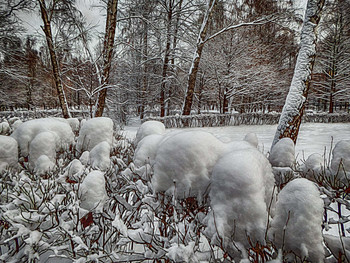 After a snowfall. / ***