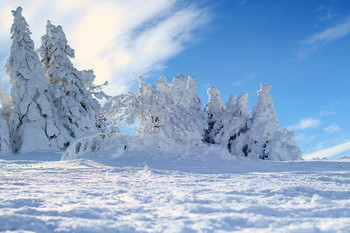 &nbsp; / .........................