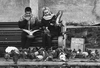 Love and pigeons / ***