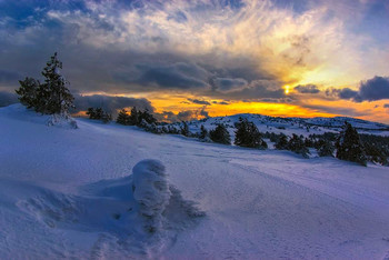 Almost subtropical sunset ... / ***