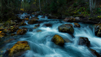 Stream / ***