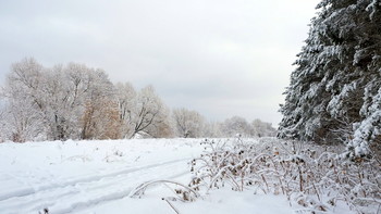 Gloomy morning. / ***