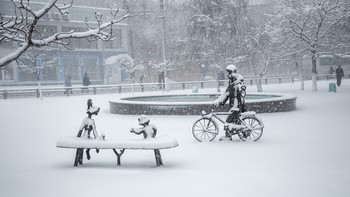 Winter in Countryside / ***