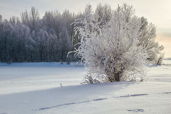 winter has come / ***