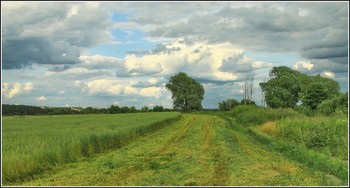 suburban landscape / ***