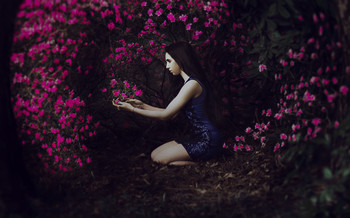 distorted reality / ...