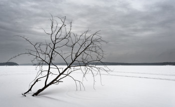 Winter minimalism / ***