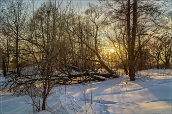 Winter landscape / ***