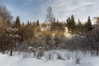 The December afternoon / ***