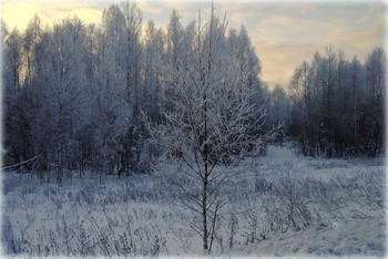 Winter evening. / ***