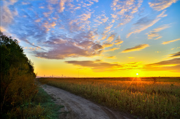 The sun rises ... / ***