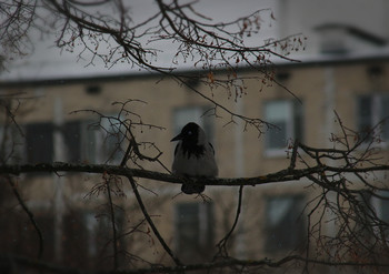 Quietly, quietly ... / ***