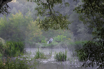 Morning on the Yauza / ***