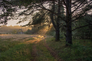 The first beam / ***