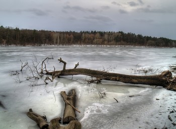 Thaw / [img]https://i.imgur.com/hpvz1pF.jpg[/img]
[img]https://i.imgur.com/MMaQnAr.jpg[/img]
