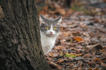 and here I am! / ***