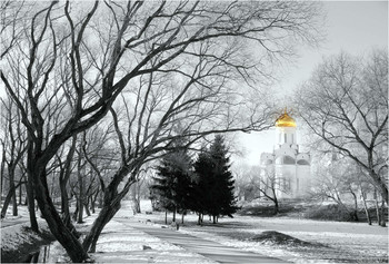 in the park / ***