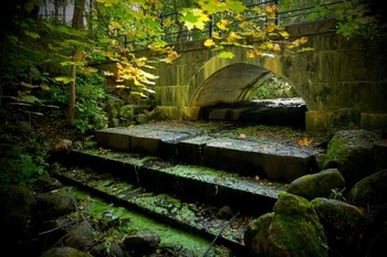 In the old park / ***