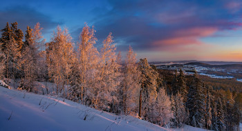 Morning on the slopes / ***