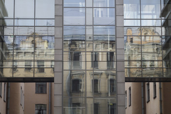 Reflection / ***