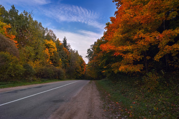 Roads of the Fall / ***