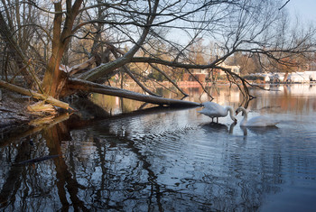 backwater / ***
