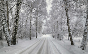 Winter road / ***