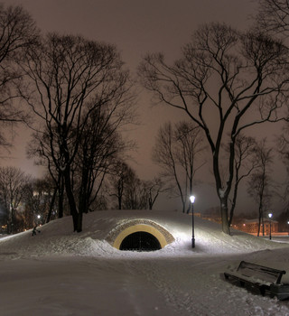 in the park / ***