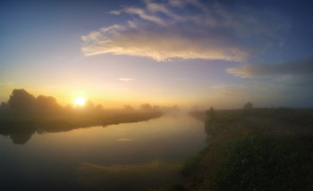 in the morning mist / ***