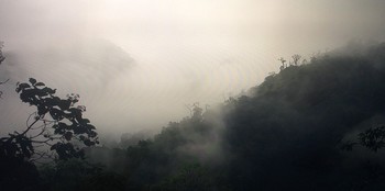 a park / ***