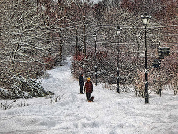 In the winter park. / ***