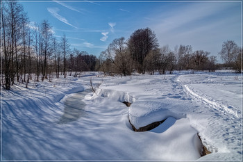 Spring is coming / ***