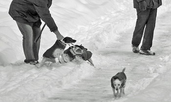 Road by walking / ***