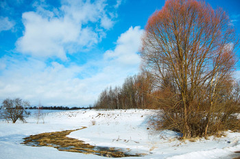 Spring is coming! / ***