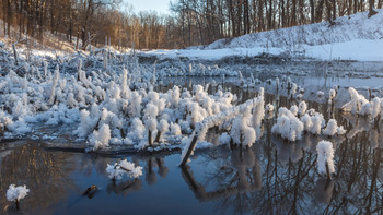 Frost / ***