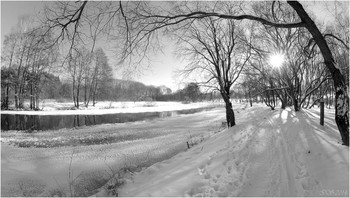 Along the path / ***