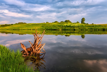 Morning on the lake / ***