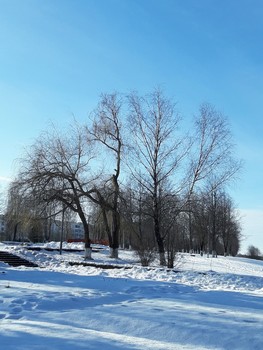 winter walk / ***