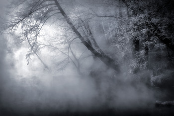 Mystical sketch November morning ... / ***