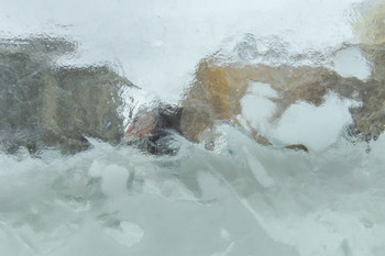 Winter view / ***