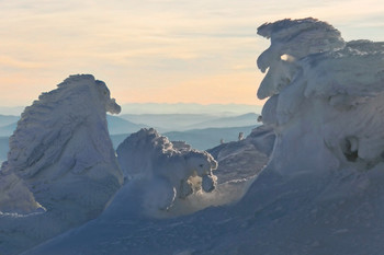 Another reality / ***