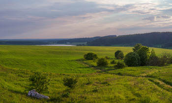 Summer evening. / ***