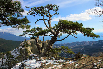 On the slopes of the Ai-Petri / ***